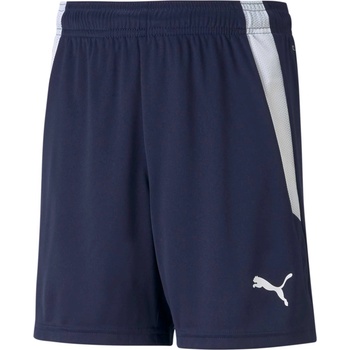 Puma teamwear Къси панталони teamLIGA Jr