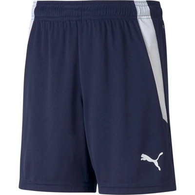 Puma teamwear Къси панталони teamLIGA Jr