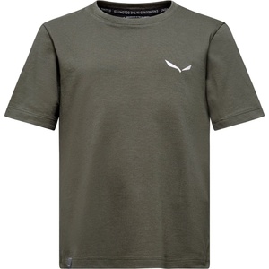Salewa Детска тениска Salewa Kid's Graphic T-Shirt - Faded Green - размер 164 (EU) (704-5543-0217)