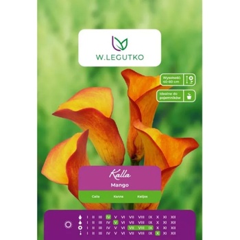 W. Legutko Кала Манго оранжев 1 бр