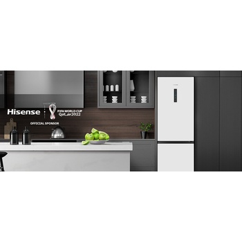 Hisense RB390N4BW2