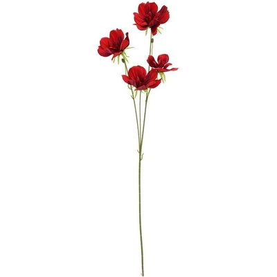 KS COSMOS ČERVENÝ 75CM