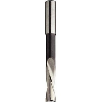 IGM F371-10062