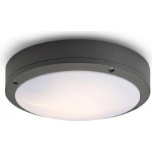 Rendl 10382