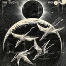 Ducks: High Flyin - Ducks