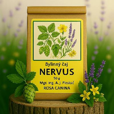 Rosa Canina Bylinný čaj Nervus 50 g