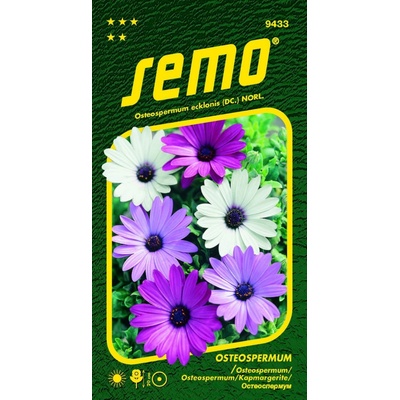 SEMO Osteospermum - směs Balade 0,30g