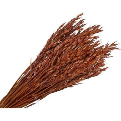 Sušený aranžérsky ovos - klasy 150g - hnedé