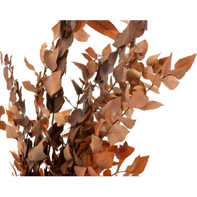 Eucalyptus oranžový stabilizovaný