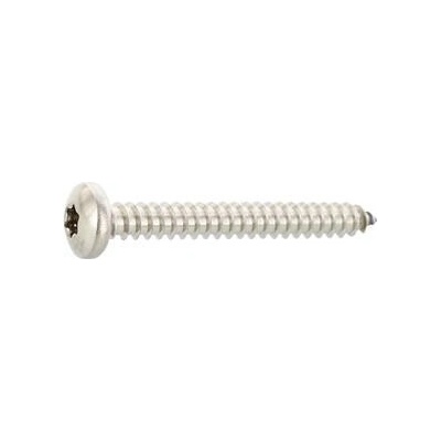 DIN7981C 3.9 x 60 Torx15 vrut do plechu, čočková hlava, nerez A4