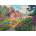 Ravensburger - Puzzle Oak Tree Cottage - 1 000 piese