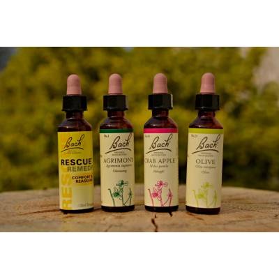 Kombinace při napadení škůdcem Balíček Bachovy květové esence 4 x 20 ml