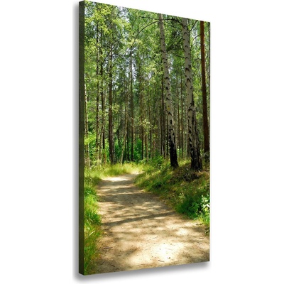 Vertikálny foto obraz canvas Brezový les 50x100 cm
