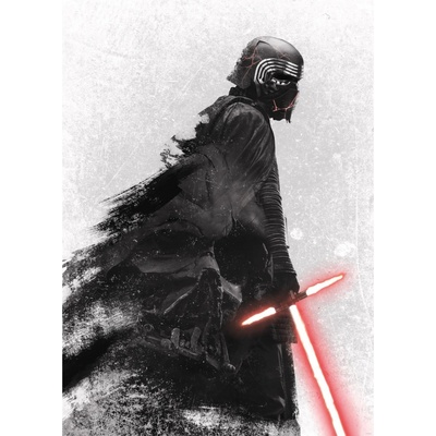 Komar Vliesová fototapeta Star Wars Kylo Vader Shadow rozměry 200 x 280 cm