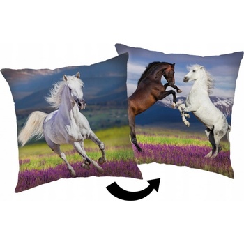 Jerry Fabrics Mikroplyšový vankúš Ľadové Kráľovstvo 2 Wind 02 Polyester 35x35