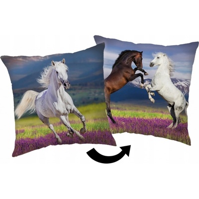 Jerry Fabrics Mikroplyšový vankúš Ľadové Kráľovstvo 2 Wind 02 Polyester 35x35