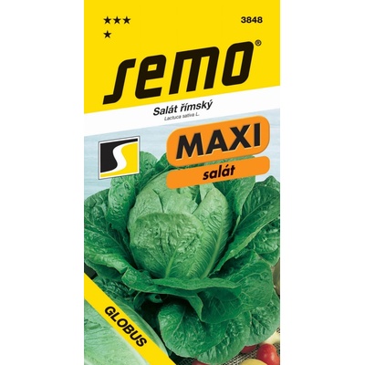 Semo Salát římský - Globus 0,7g - serie Maxi