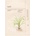 Ondo Beauty 36.5 Лифтинг лист маска за лице Adenosine & Zhi Mu, 25 ml