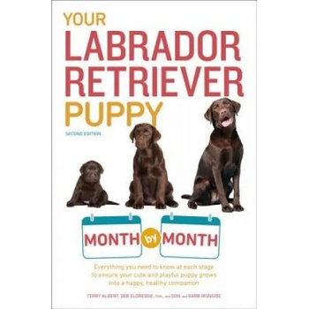 Image 1 of Your Labrador Retriever Puppy Month by Month