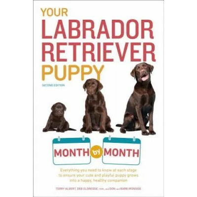 Your Labrador Retriever Puppy Month by Month | Terry Albert, Deb Eldredge, Don Ironside, Barb Ironside