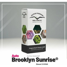 Dutch Passion Auto Brooklyn Sunrise semena neobsahují THC 3 ks