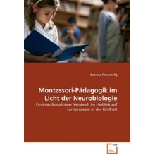 Montessori-Pädagogik im Licht der Neurobiologie