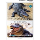 CDE 1 CROCS AND GATORS +ONLINE CODE