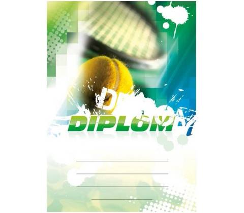Diplom 6620