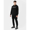 4F 4FSS23TTROM154 Deep black