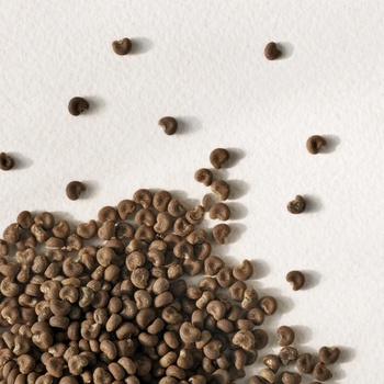 Image 1 of Ralph Lauren Polo Earth Moroccan Neroli (Refillable) EDT 100 ml