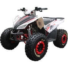 ATV TaoTao Coyote 125