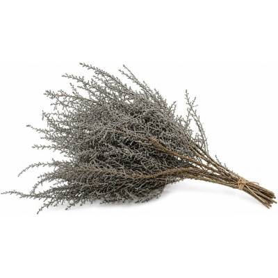STOEBE GREY SLEEVE ( 150 g )