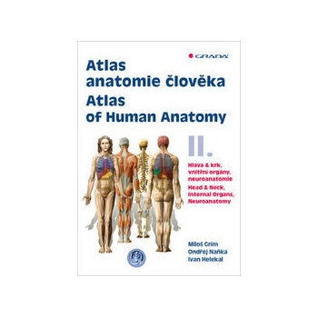 Atlas anatomie člověka II.