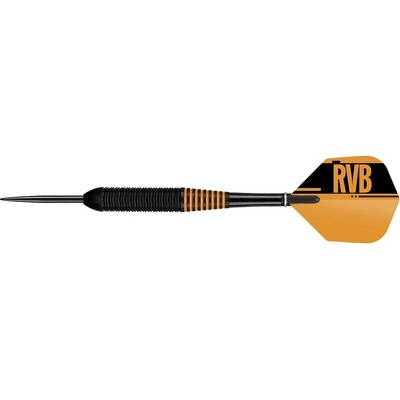 Target steel Raymond van Barneveld RVB černé 24g