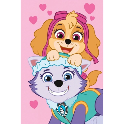 Jerry Fabrics Detská fleecová deka Paw Patrol PP518