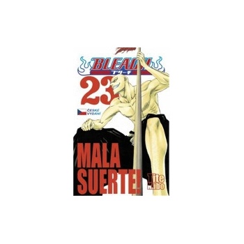 Bleach 23: Mala suerte!