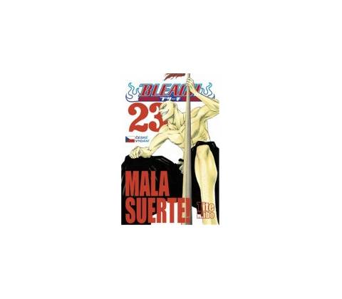 Bleach 23: Mala suerte!