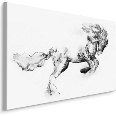 MyBestHome BOX Plátno Kůň Jak Načrtnut Varianta: 100x70