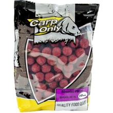 CARP ONLY Boilies ABSOLUT PLUM 1kg 16 mm