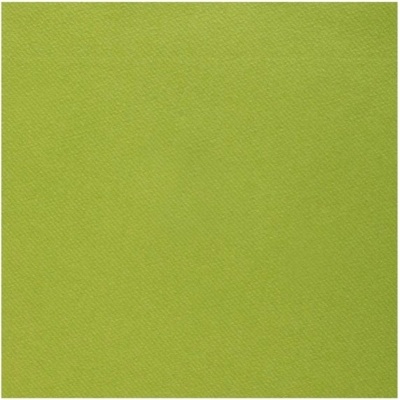 Santex Ubrousky Rainbow Kiwi 40x40cm 20ks