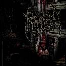 Sterilized - Mangled Biomechanical Amalgations CD