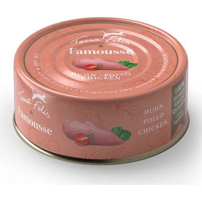 Terra Felis Famousse 12 × králičie 80 g