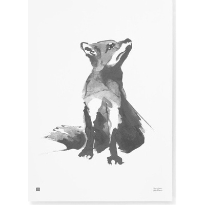 Teemu Järvi Plakát s motivem lišky Red Fox 50x70