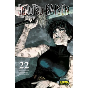JUJUTSU KAISEN 22 | AKUTAMI, GEGE (ISBN: 9788467962000)