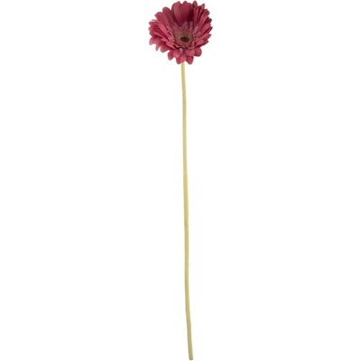 Umelá gerbera vínová