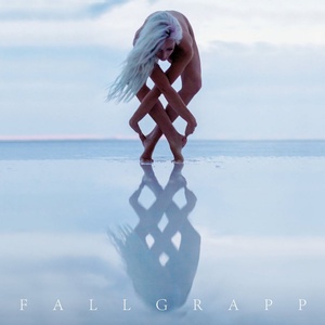Supraphon Fallgrapp: Ostrov - CD (033197)