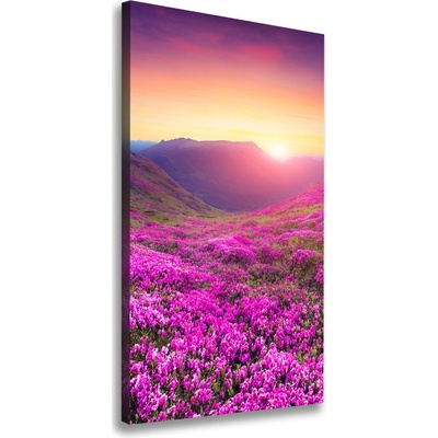 Vertikálny foto obraz na plátne Hory rododendrom 50x100 cm