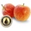 Inawera Концентрат за база Inawera с аромaт APPLE/ЯБЪЛКА 10ml