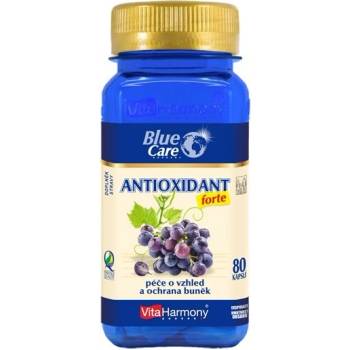 VitaHarmony Antioxidant New Formula 80 tablet