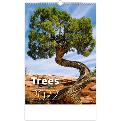 nástěnný Trees Bäume Stromy 2022
